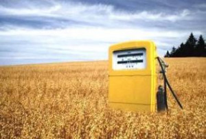 Biofuels Worse for Environment ~ and Helps Cause Starvation