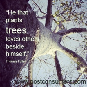 He that plants trees loves others beside himself.” Thomas Fuller