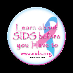 sudden infant death syndrome sids is one of the leading causes of ...