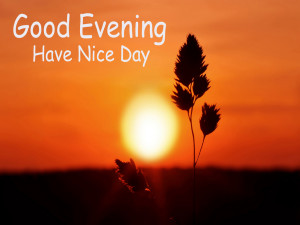 good-evening-have-a-nice-day-image-hd.jpg