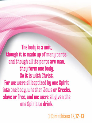 There’s more to see ! Come take a look