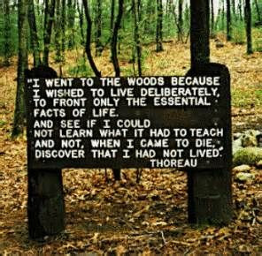 Henry David Thoreau's famous quote