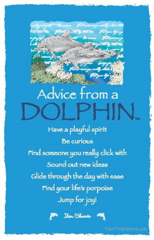 Advice From a Dolphin ~:By Ilan Shamir ☆Spirit Animal, Quotes, Life ...