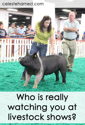 Livestock Show Girl Quotes At livestock shows.