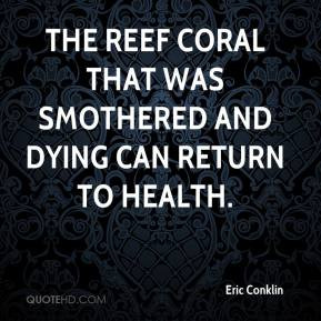 Eric Conklin The reef coral that was smothered and dying can return