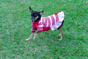 Related Pictures 001 athena lundberg 006 athena lundberg 009 athena ...