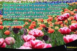 Do-not-yearn-to-be-popular-be-exquisite.-Do-not-desire-to-be-famous-be ...