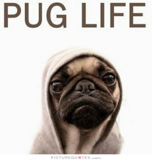 Pug life Picture Quote #1