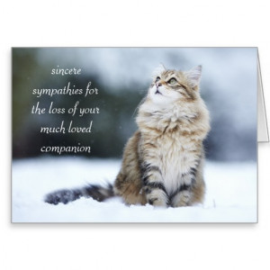 Sympathy Card for the Loss of a Cat