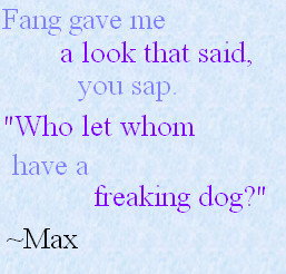 Maximum Ride - Max by bookworm16016