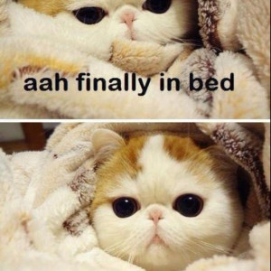 Pinned by Pollyanna Flores