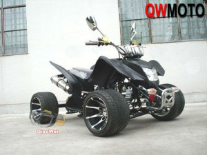 Wuyi Qiaowei Electrical Vehicle Co., Ltd. [Verificato]