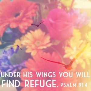 Psalm 91:14...More at http://beliefpics.christianpost.com/