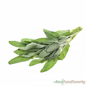 home fresh herbs herbs fresh sage