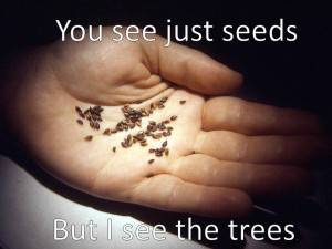 You See Seeds but I See the Trees