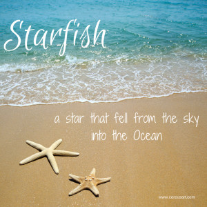 ... on CereusArt: Starfish - A Star that fell from the sky into the ocean