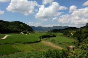 Funny Quotes Contact Dmca...