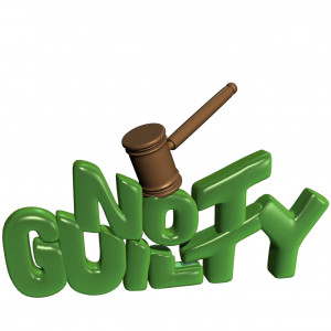 P90X Day 52: Kenpo X + Casey Anthony Verdict = Not Guilty!