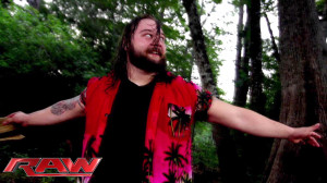 Who is Bray Wyatt?
