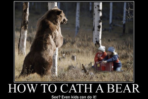 ... to catch the bear do not miss out the spelling mistake in the quote