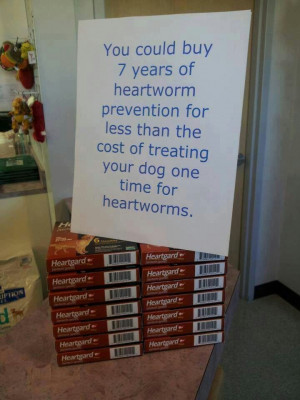 Heartworm prevention.. omg, we should have this display at our clinic!