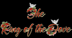 Fotos und Bilder zu Tarek Abuamin (10)