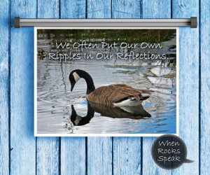 Reflection Photo Quote Canadian Geese Pond by WhenRocksSpeak
