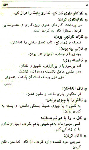 Famous Quotes in Persian Farsi
