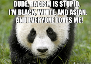 dude racism is stupid im black white and asian and eve - 3 mile panda