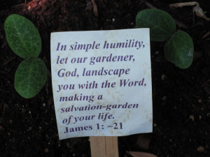 In simple humility, let our gardener God, landscape you with the Word ...