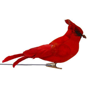 resin cardinal red bird ornament jpg