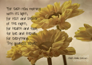 Thoughts Of Gratitude Photograph