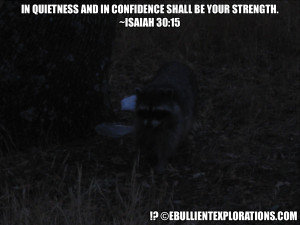 Fearless Trash Picking Raccoon Quotes the Bible Wisely