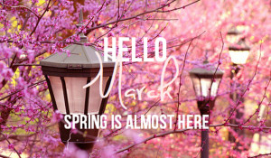 Hello March, Spring is almost here