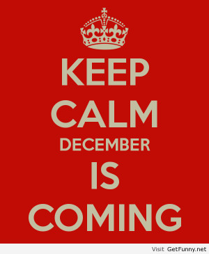 ... december is coming - Funny Pictures, Funny Quotes, Funny Memes, Fun