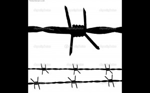 Barbed Wire Royalty Free