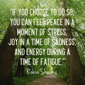 If you choose to do so, you can feel peace in a moment of stress, joy ...