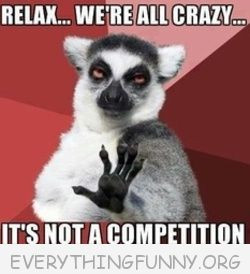 funny lemur meme relax we'er all crazy it's not a competition