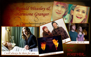 Harry Potter Love Triangle Ron and Hermione