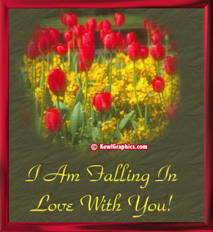 Falling Love on Red And Yellow Tulips I Am Falling In Love With Yo Gif