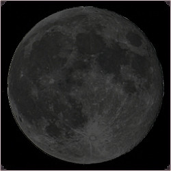 New Moon - Moon Phases - The White Goddess