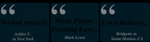 Easy Puppy Potty Training...the Ultimate Solution!