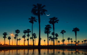 california, junii, moon, night, palm, palm trees, stars, sunset