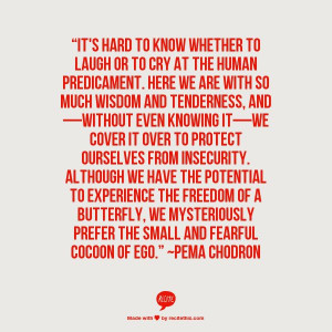 ... prefer the small and fearful cocoon of ego.” ~Pema Chodron