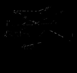 ... of quotes Dogs believe they are human. Cats believe they are God