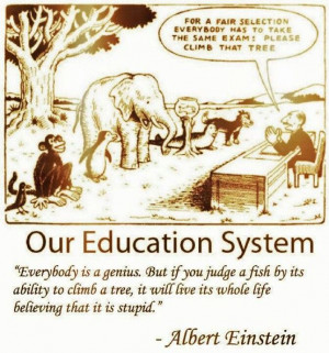 ... an education system that seems bent on getting them to climb trees