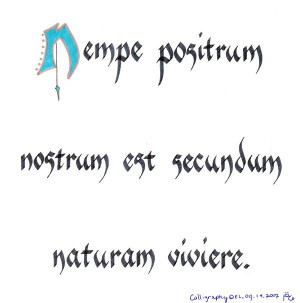 Latin Quote I by elhalfling