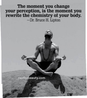 ... moment you rewrite the chemistry of your body. –dr. bruce h. lipton
