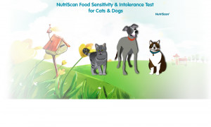... to decide if NutriScan is the right test for their companion animals