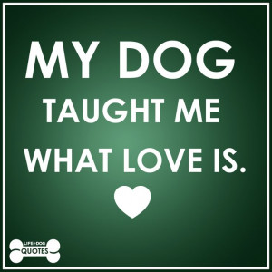 My dog taught me what love is